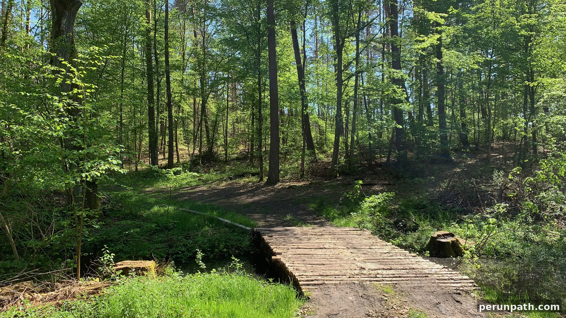 Szlak im. Hetmana Czarnieckiego