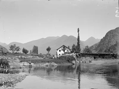 La Mollera