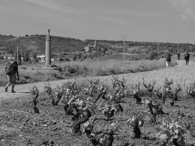 Ruta Viamolinos
