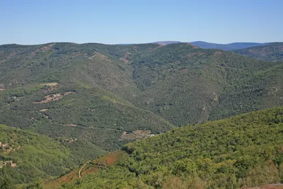 Saint-Roman