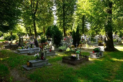 Dolnośląska Droga św. Jakuba