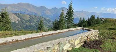 Плат