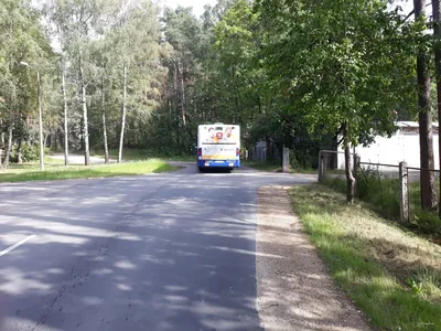 Bergu