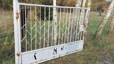 Pionki - Królewskie Źródła
