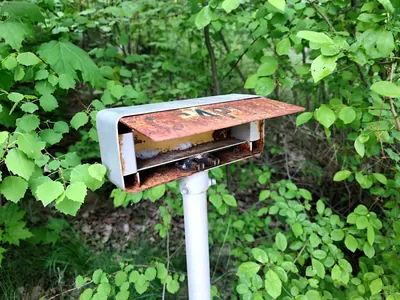 [Z] Bohuslavice n. U - Lhota