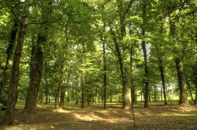 Szlak Pałacowo-Zamkowy