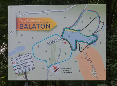 Zielona