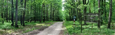 Ścieżka dydaktyczna "W Krzyżowcu"