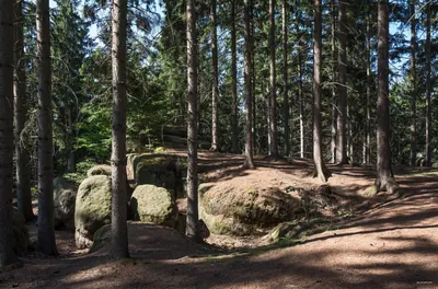 Głazy Krasnoludków