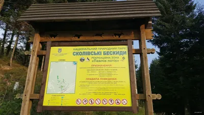 СТАРОВІКОВІ ЛІСИ
