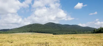 Starków - Krosnowice - Żelazno - Jaszkowa Górna - Kolonia Gaj