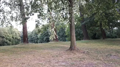 Łódź Żabiczki