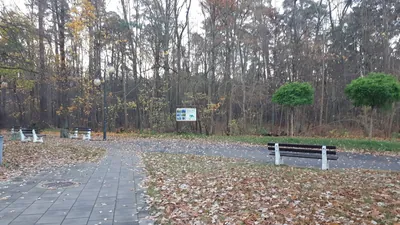 Wokół jezior Białe i Studzieniczne