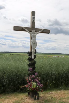 156S Kuźniczka - Dolna