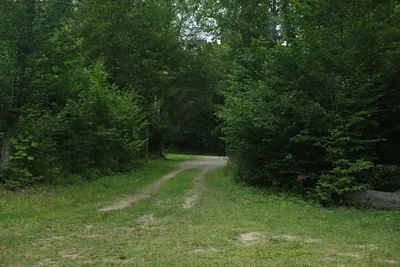 Białowieża - Narewka