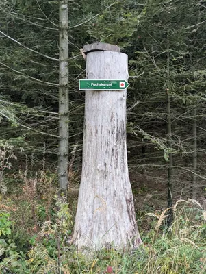 LG-Gelber Punkt