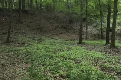 Głuchołazy Zdrój - Przednia Kopa