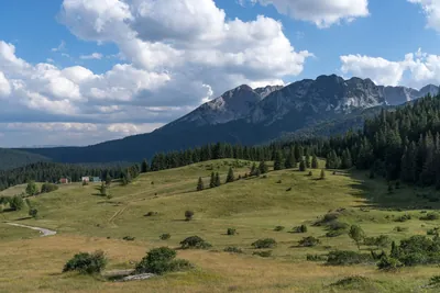 Štuoc Bike Park Enduro Trail