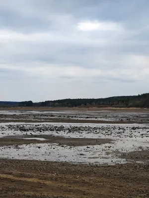 Zółty szlak rowerowy dookoła Radowa