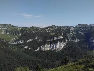 Le Creux de la neige