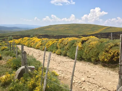 Chemin de Malevrère