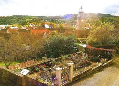 L'Étang de Montmazot