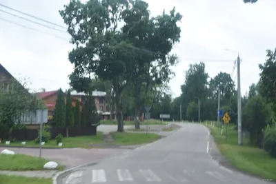 Wokół Białowieży i Polany Białowieskiej