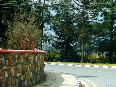 Kampi Nature Trail