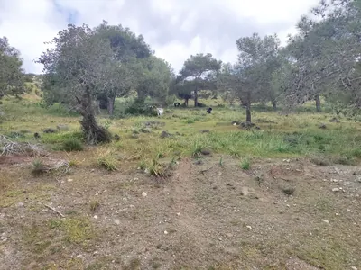 Adonis Nature Trail