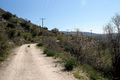 Arnies Nature Trail
