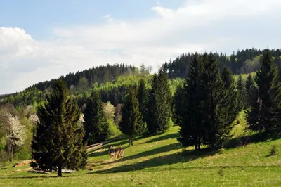Przełęcz Walimska – Kuźnica