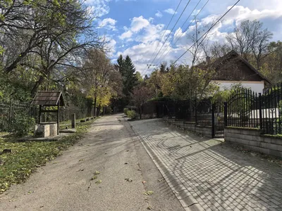 Zöldút