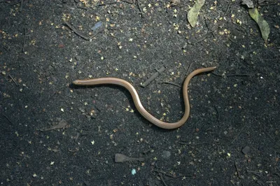 Krajobraz Minionego Stulecia