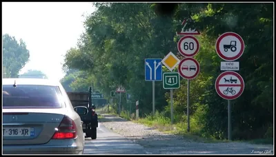 Apagy helyi hálózat