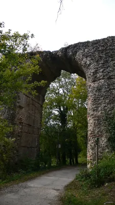 Le Saint-Jacques