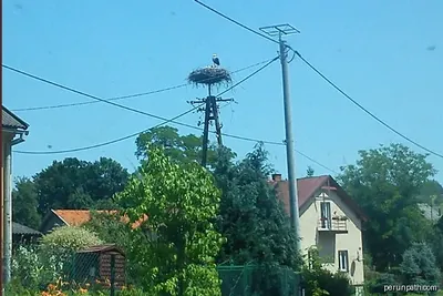 „Doliną Sanu” Krzywcza Trasa 2