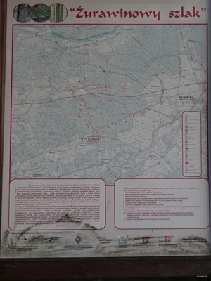 Żurawinowy szlak