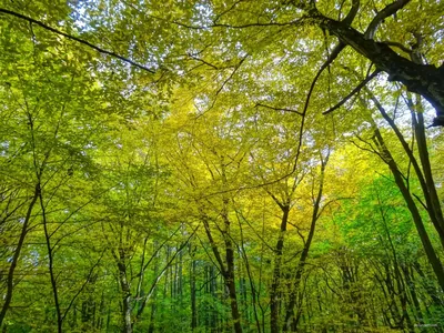 MTB w Myślęcinku