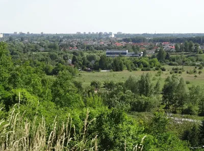 Szlak Czyżkówko-Opławiec