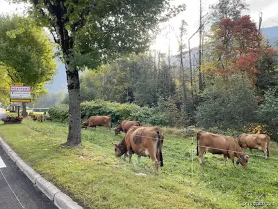 La Pompe