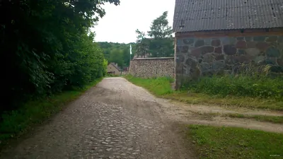 Szlak Dębowy Niebieski