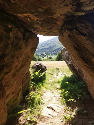 Errege bidea: Lotura 4. Lapatia