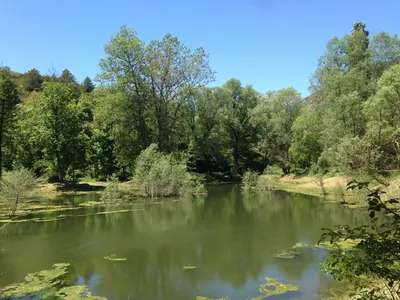 Pla de la Batllia - Turò de Gallisà
