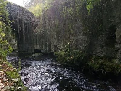 Bidasoko Bide Berdea / Vía Verde del Bidasoa (Lesakako konexioa / conexión Lesaka)