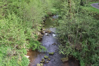 Tour du plan d'eau de Saint-Clément
