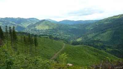 Rycerka Kolonia - Bendoszka