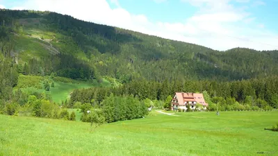 Szlak bazowy