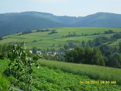 Bukovecka trasa Nordic Walking