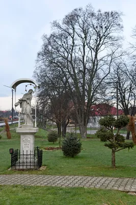 Rajka helyi hálózat