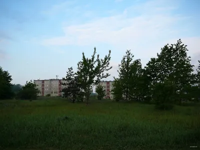 Trasa nr 1 Białobrzegi